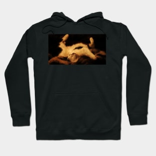 The Snooze Hoodie